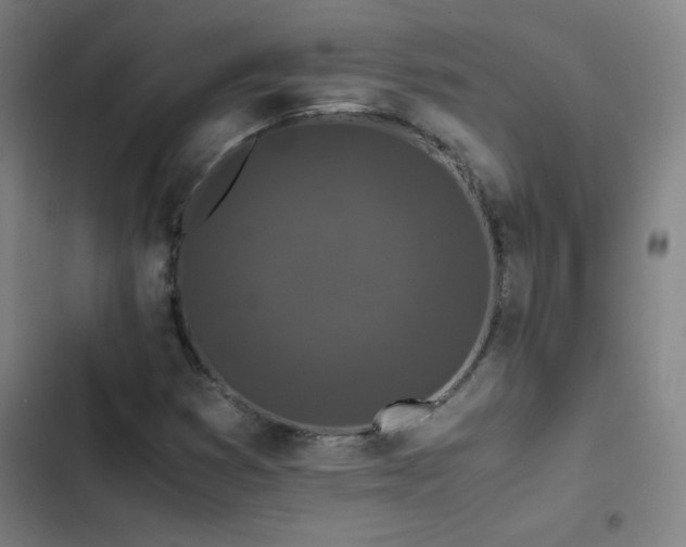 X0000103311353200808291419