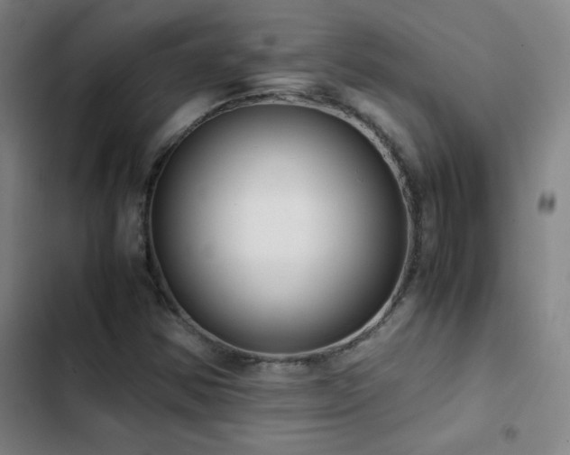 X0000103311354200808291419