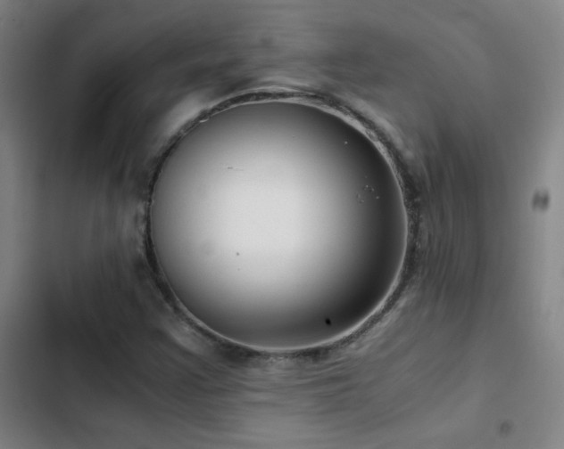 X0000103311355200808291419