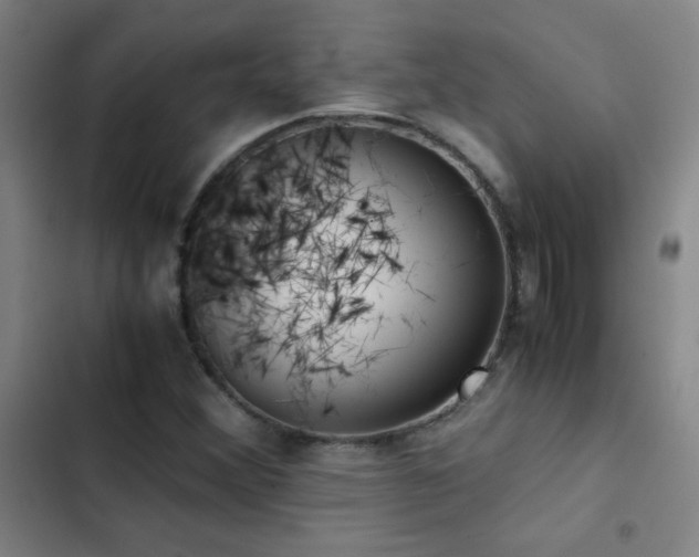 X0000103311356200808291419