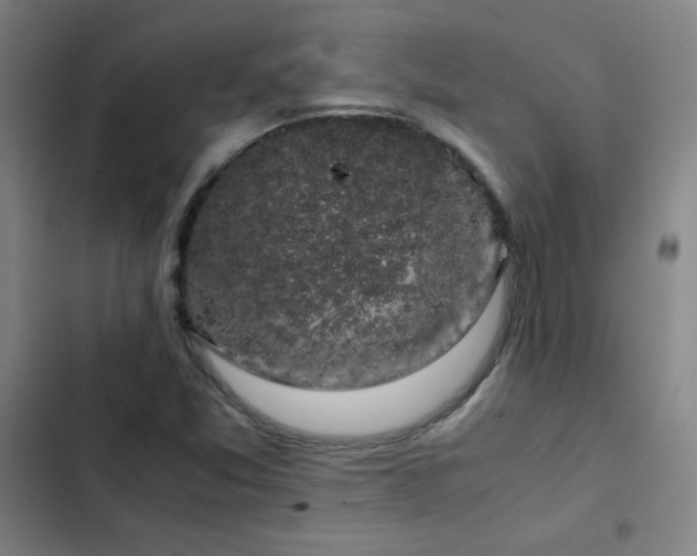 X0000103311357200808291419