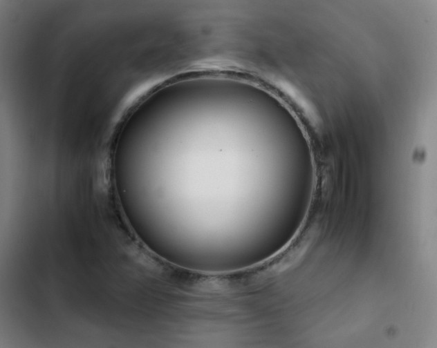 X0000103311358200808291419