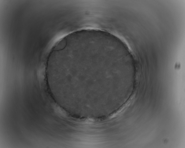 X0000103311359200808291419