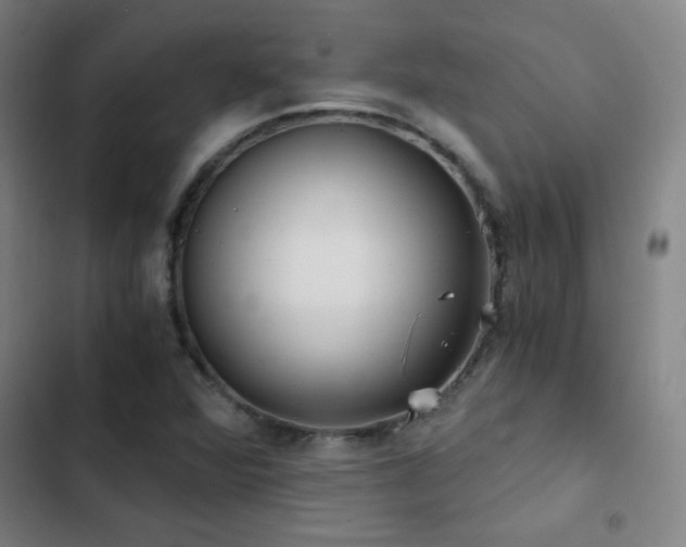 X0000103311360200808291419