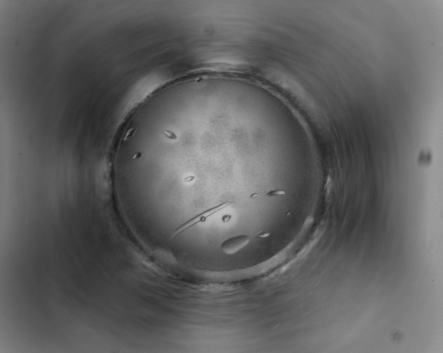 X0000103311362200808291419