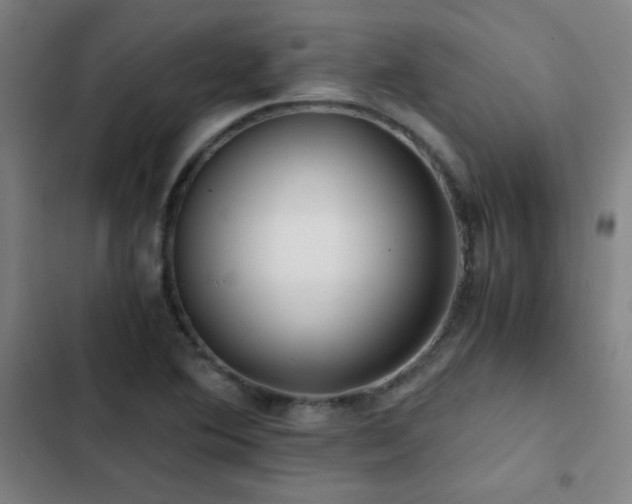 X0000103311364200808291419