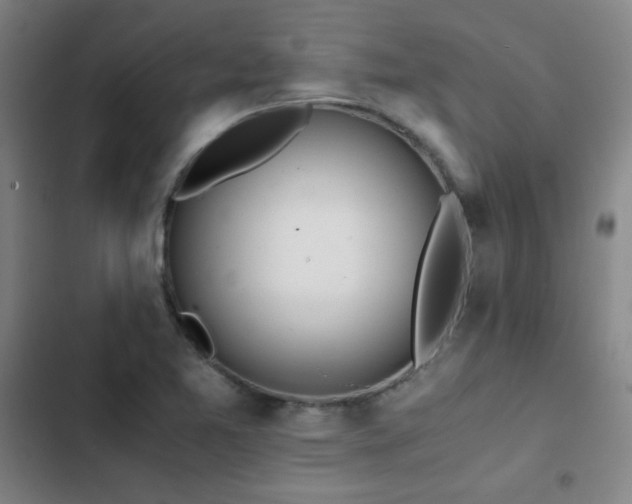 X0000103311365200808291419