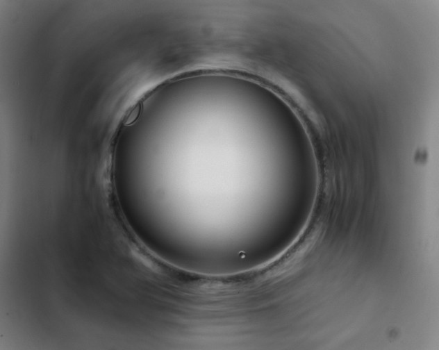 X0000103311366200808291419