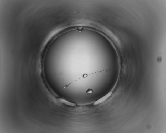 X0000103311368200808291419