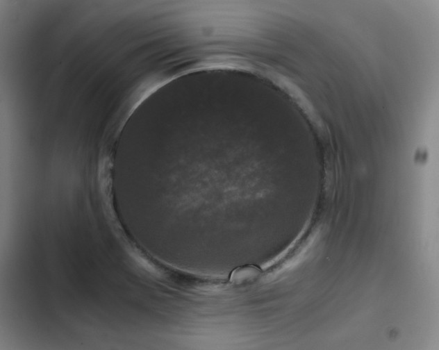 X0000103311369200808291419