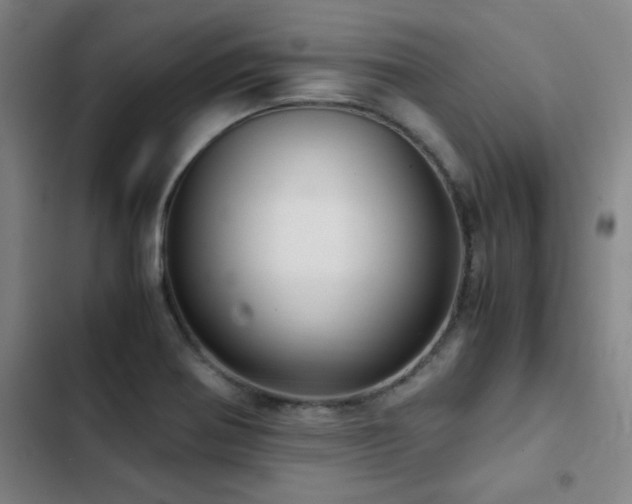 X0000103311370200808291419