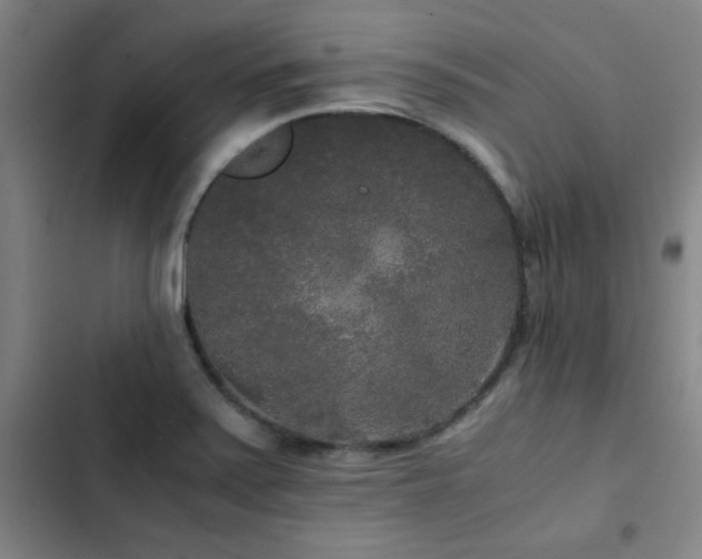 X0000103311371200808291419