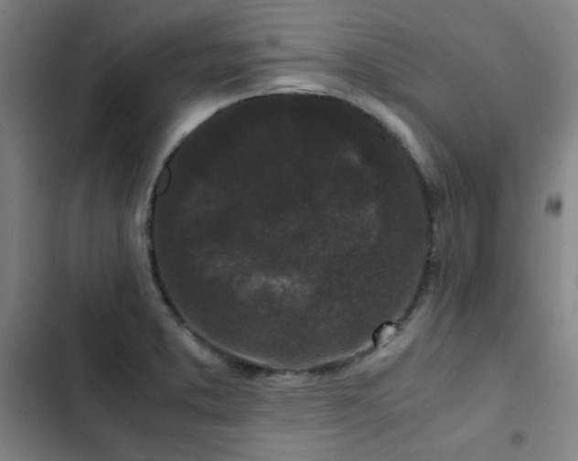 X0000103311373200808291419