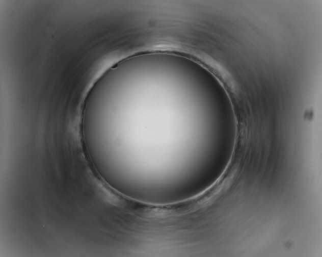 X0000103311374200808291419