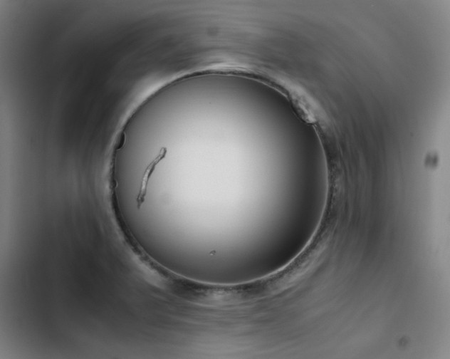 X0000103311375200808291419