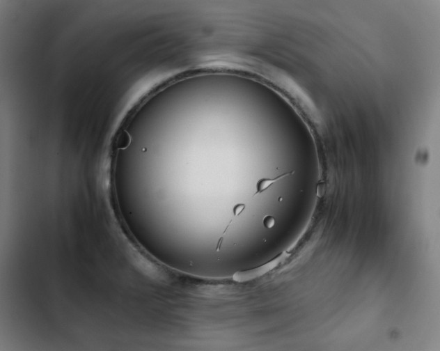 X0000103311376200808291419