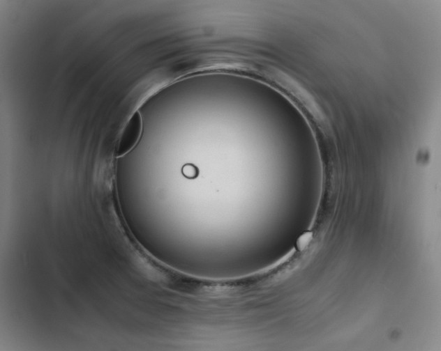 X0000103311377200808291419