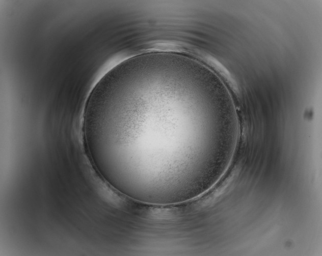 X0000103311378200808291419