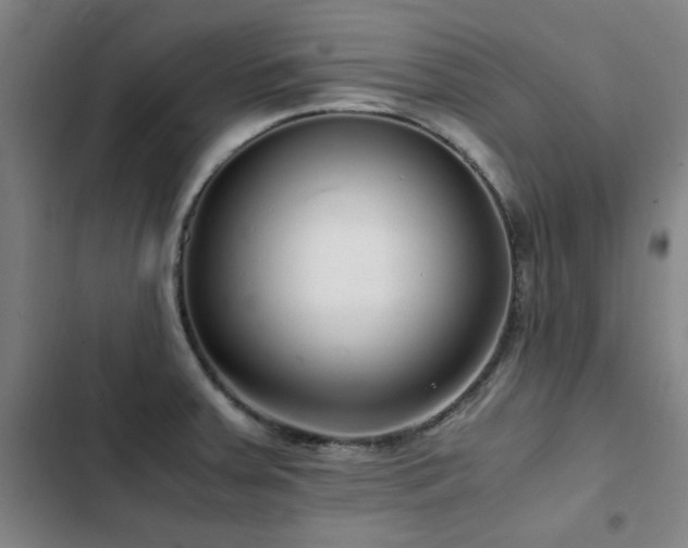 X0000103311379200808291419