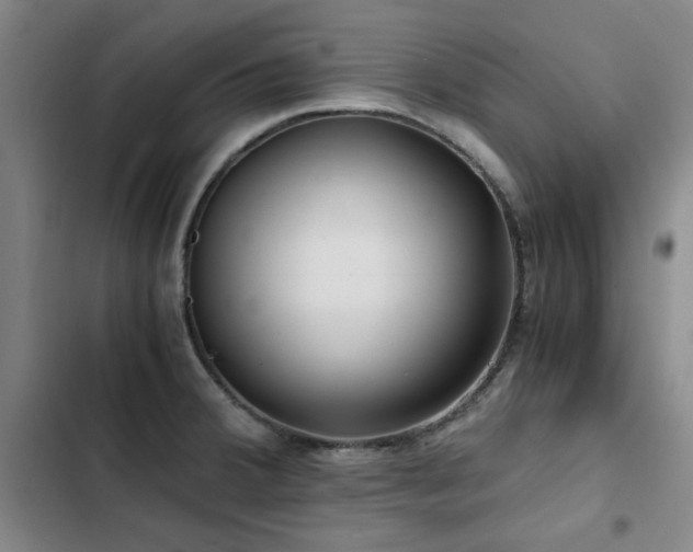 X0000103311380200808291418