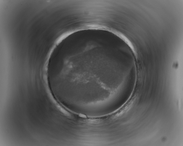 X0000103311381200808291418