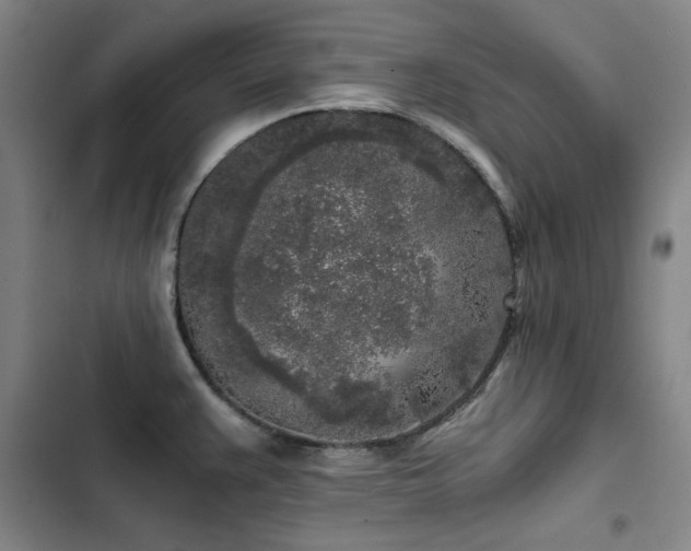 X0000103311383200808291418
