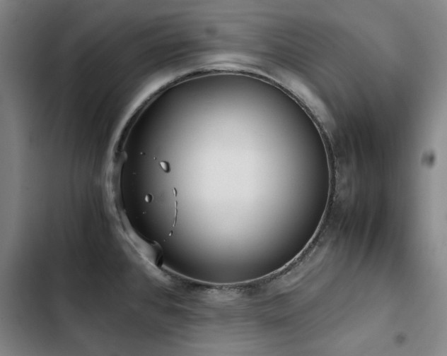 X0000103311384200808291418