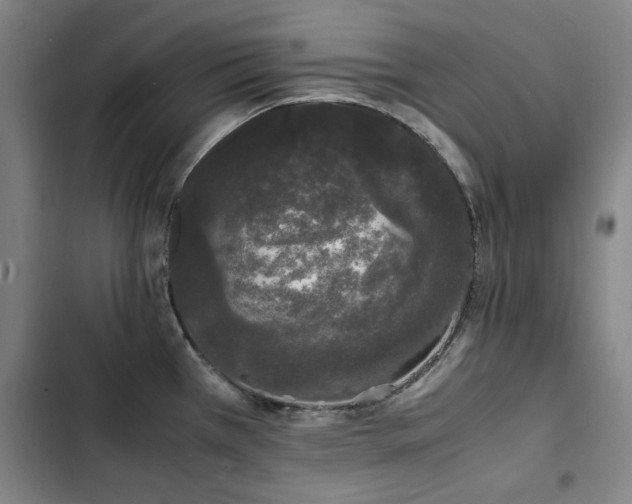 X0000103311385200808291418