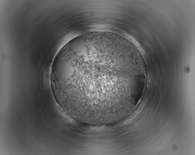 X0000103311386200808291418