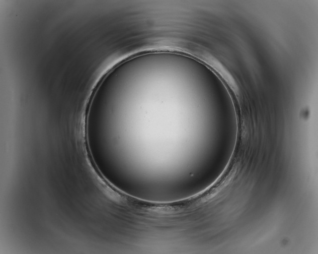 X0000103311388200808291418