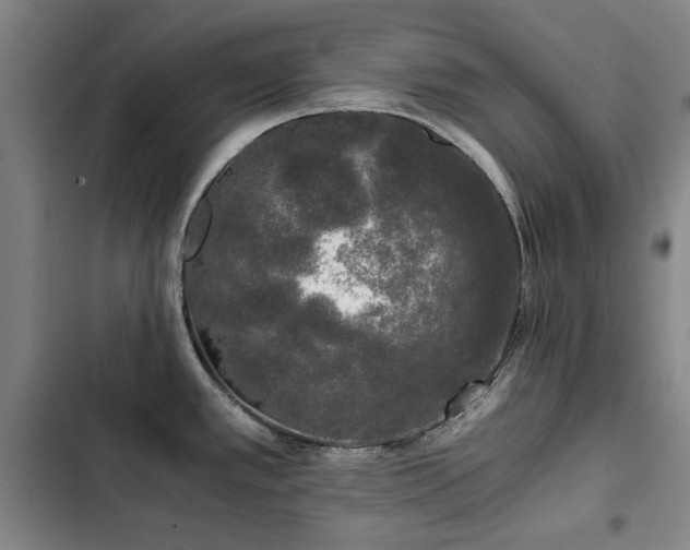 X0000103311389200808291418