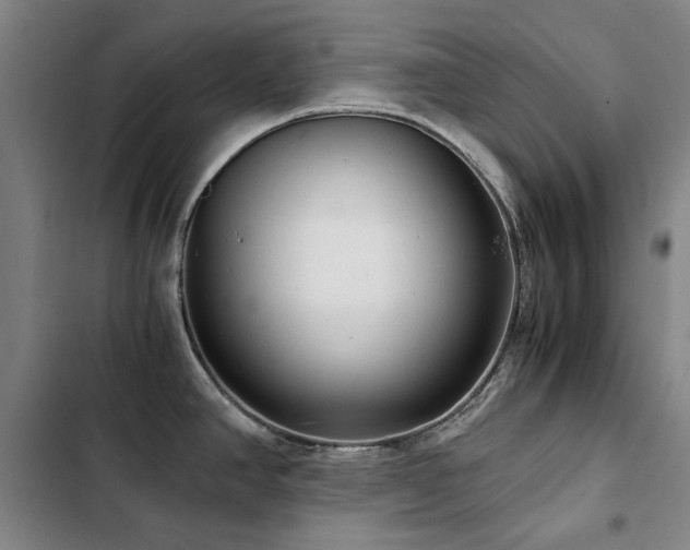 X0000103311390200808291418