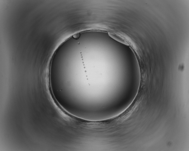 X0000103311391200808291418