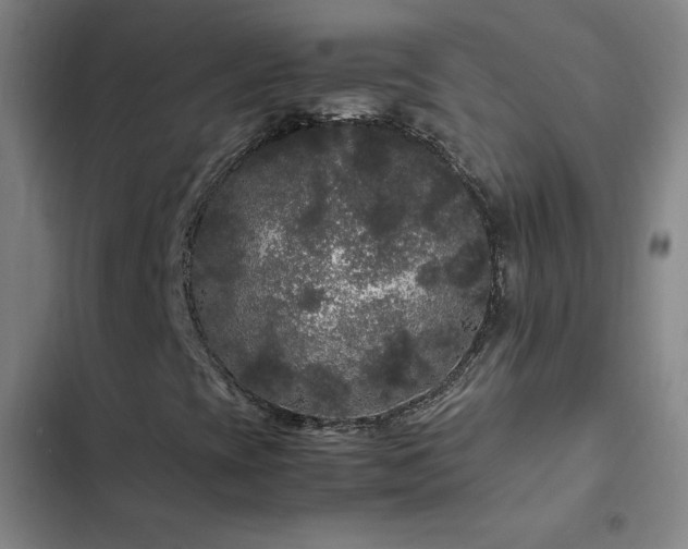 X0000103311393200808291418