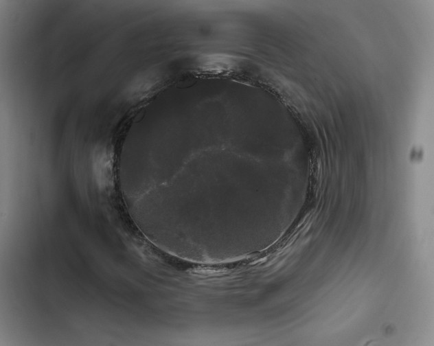 X0000103311394200808291418