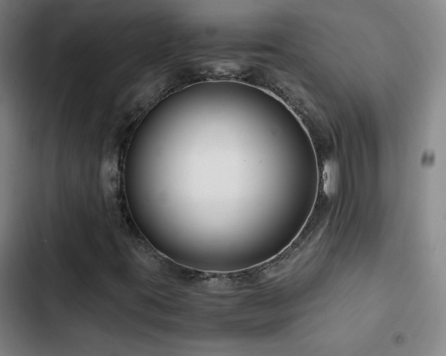 X0000103311395200808291418