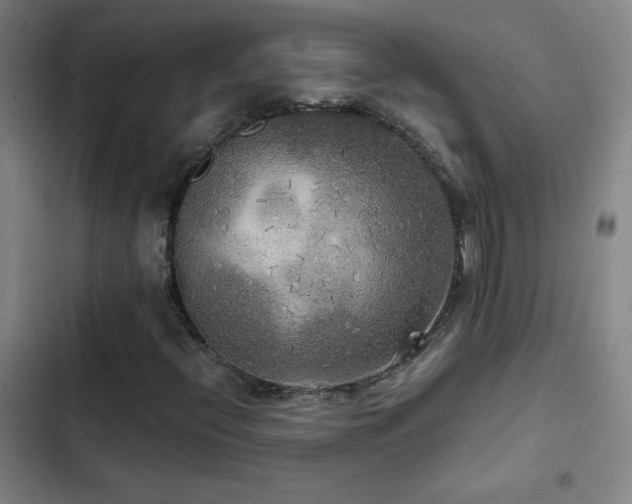 X0000103311396200808291418