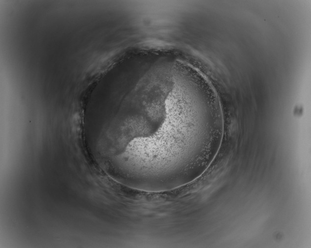 X0000103311397200808291418