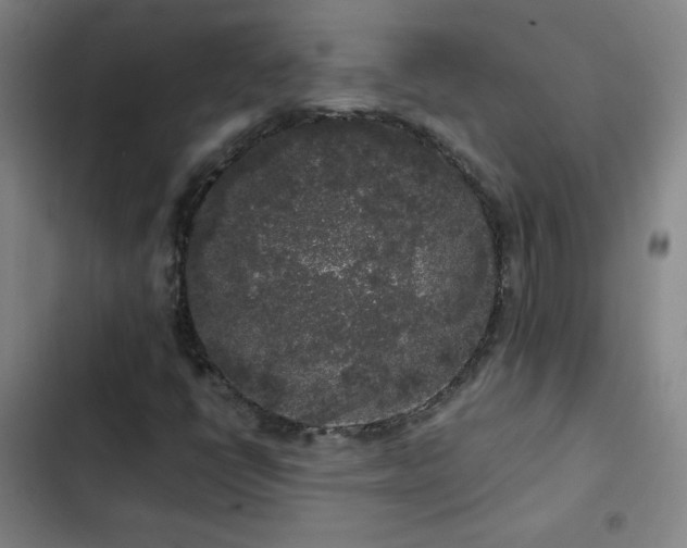 X0000103311398200808291418