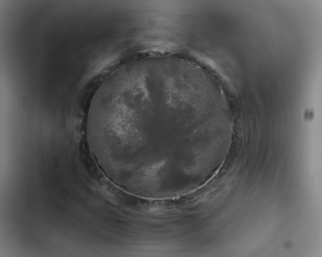 X0000103311399200808291418