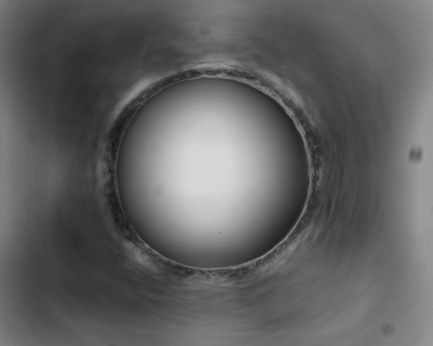 X0000103311400200808291418
