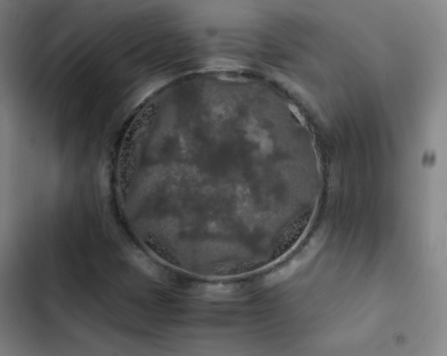 X0000103311401200808291418