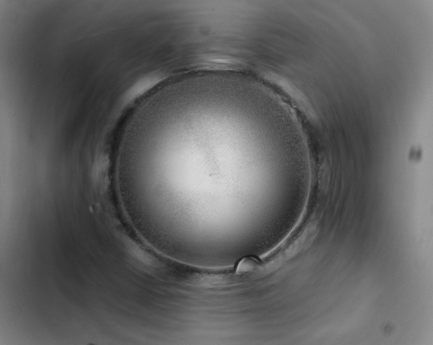 X0000103311402200808291418
