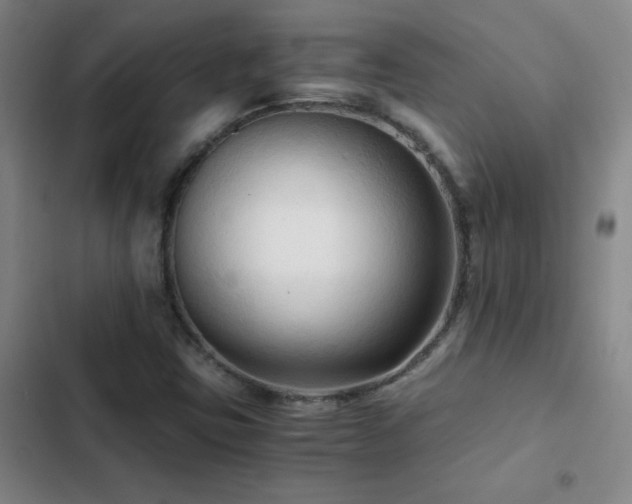 X0000103311403200808291418