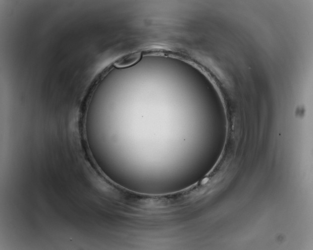 X0000103311404200808291418