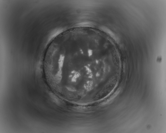 X0000103311405200808291418