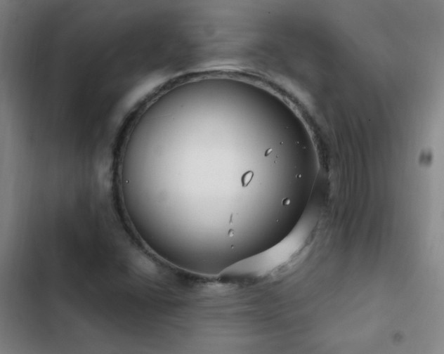 X0000103311406200808291418