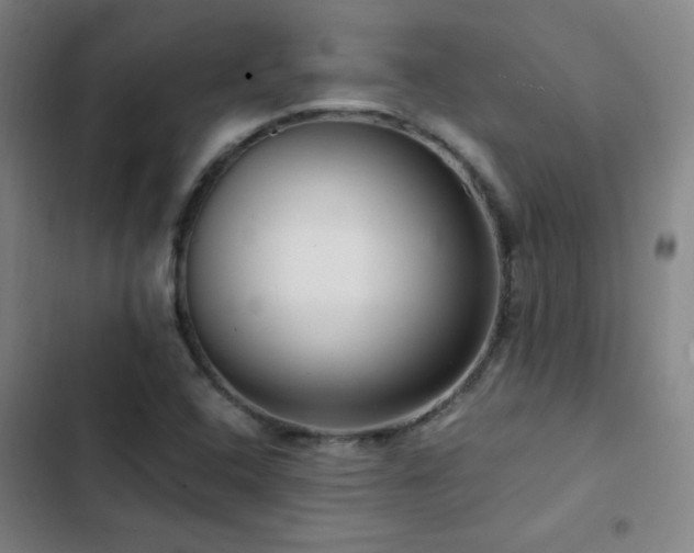 X0000103311408200808291418