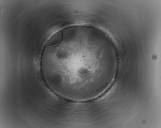 X0000103311409200808291418