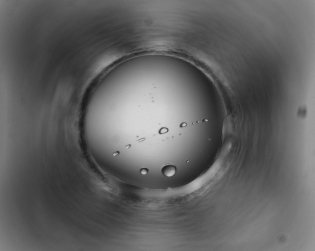 X0000103311410200808291418